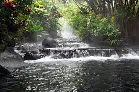Steaming tropical hot springs flowing through a lush rainforest with cascading stone waterfalls.