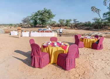 Safari Bush Dinner — Kenya