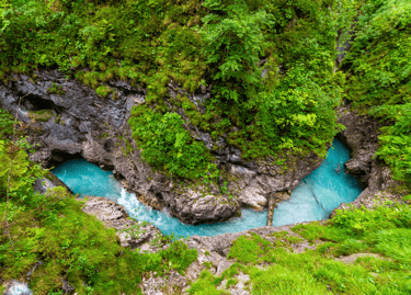 Overhead view of a bright turquoise river flowing through a lush green rocky mountain gorge.