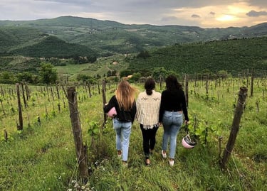 Tuscany Vineyard Dinner Experience — Italy
