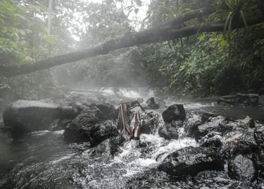 A steaming tropical river flows over dark volcanic rocks in a lush, misty rainforest with a fallen tree trunk.