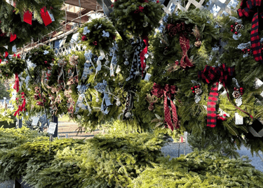 Fresh Christmas wreaths and evergreen kissing balls with red ribbons hanging at an outdoor holiday market.