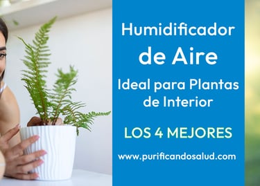 portada-humificiadores-para-interior-1