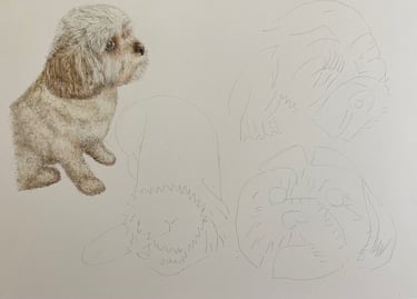 Dogs