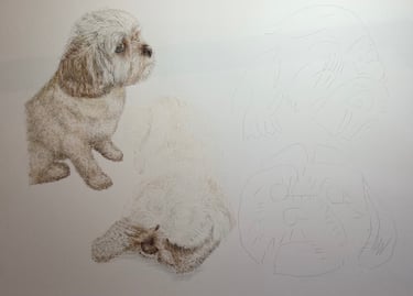 Dogs