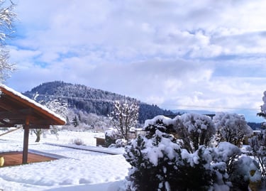 espace extérieur sous la neige