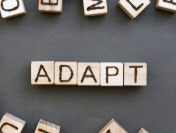 a wooden block with the words "adapt"