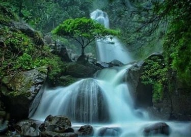Aliran deras Curug Ciherang di tengah tebing batu, berdekatan dengan fasilitas rekreasi dan jembatan rumah pohon, destinasi w