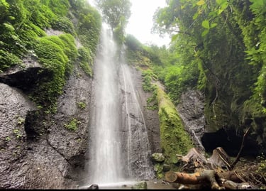 Air terjun bertingkat Curug Nangka di tengah rimbunnya hutan pinus, menunjukkan keindahan alam yang sejuk di kawasan Taman Na