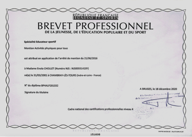 Diplôme Brevet Professionnel de la Jeunesse de l'Éducation Populaire et du Sport APT