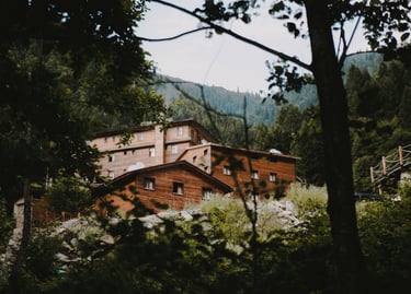 freelance writer charlotte nc