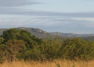 Albizia self catering tented accommodation vista in Hluhluwe