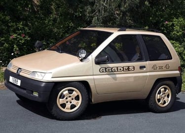 Peugeot agades 4x4 heuliez 1989 beige mayfair