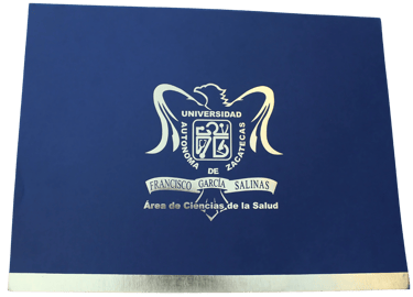 Carpeta institucional 