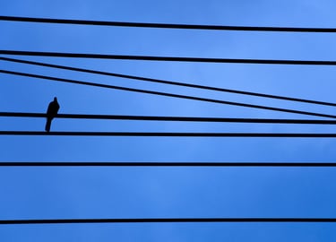 Silhouette of a bird perched on horizontal power lines against a clear blue sky background. alone