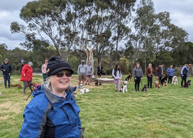 Female dog trainer teaching group of dogs and people in park