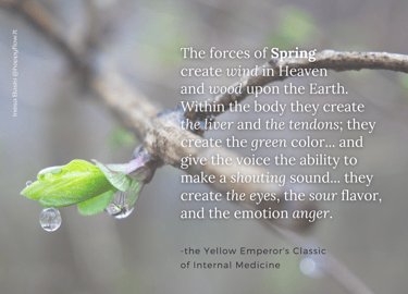 forces of spring