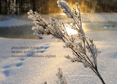 gilus poilsis derlinga dirva
