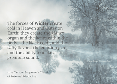 forces of winter