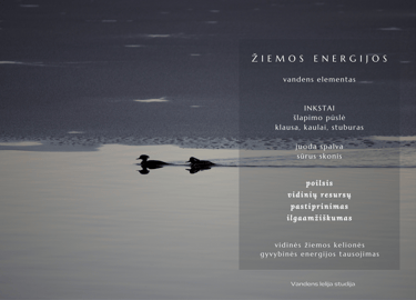 žiemos energijos