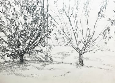 Scotney Castle espalier trees