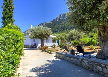 Greek villa courtyard with olive trees, lounge chairs, and a mountain view under a clear blue sky.
