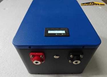 a battery pack of LiFePO4 prismatic battery cells