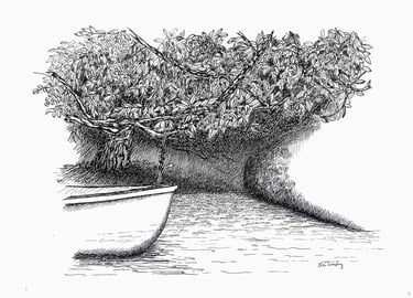 Árvore robusta com barco ao lado, em bico de pena e nanquim preto.