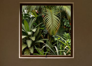 A beautifully framed window showing lush greenery outside, contrasting with the minimalist medium beige interior walls. South American &amp;#x2F; Brazilian setting.
