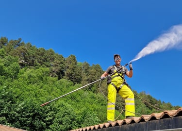 Sebastian vasker tak