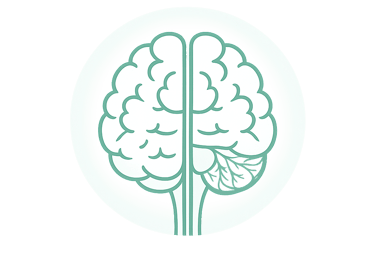 Brain icon