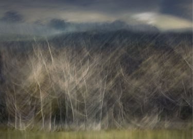 Dreamlike abstract photograph of slender trees layered over a moody mountain landscape, created with camera motion