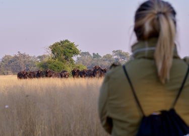 On a bush walk throuhg the Greater Kruger region