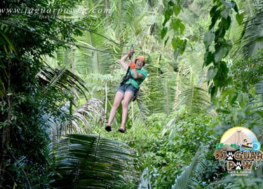Ultimate Adventure - Zipline into the rainforest canopy