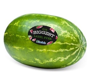 etiquetas para alimentación