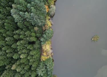 vue aérienne lac Cublize