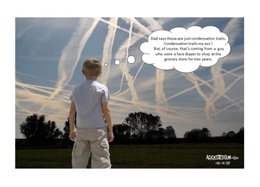 Arrested Sun Geoengineering Awareness Memes - Geoengineering Face Diaper
