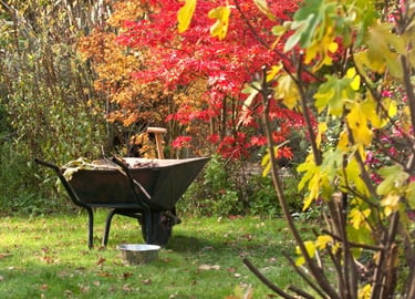 Garden bed winterization and final mowing service by Avenue Seasons