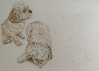 Dogs
