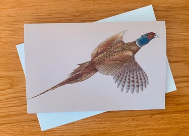 Pheasant
