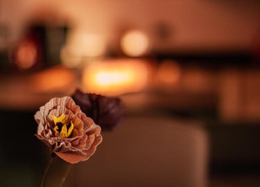 gite-decoration-atmosphere-cocooning-detente