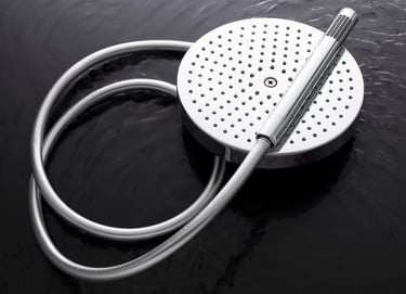 chrome rain shower head and wand floating on water