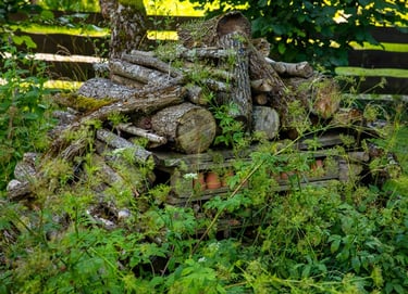 medžio rastai sukrauti vienas ant kito į gamtinę kompoziciją