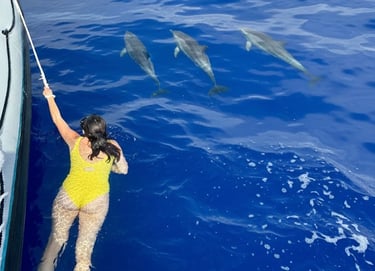 A person in a yellow swimsuit swimming in the ocean next to three dolphins near a boat.