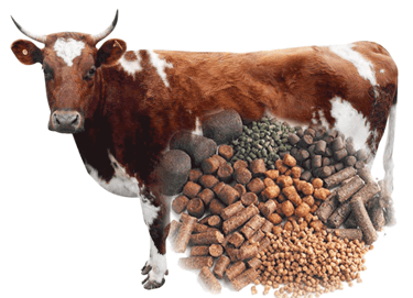 Animal Feed  Customizable Animal feed  Cow Feed  Goat Feed