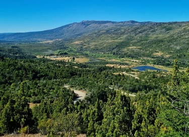 Bosque