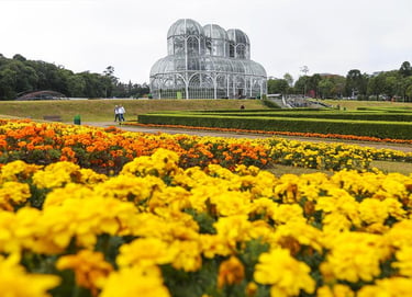Curso de Banho e Tosa de Curitiba
