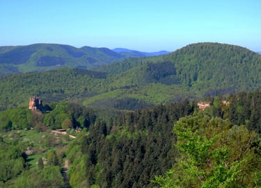 Randonnée 26 avril 2026