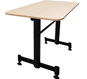 mesa economica
