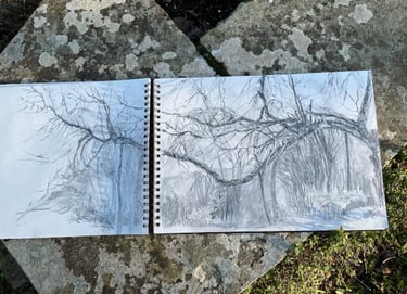 A3 Dixter Diary sketchbook; The Ancient Mulberry